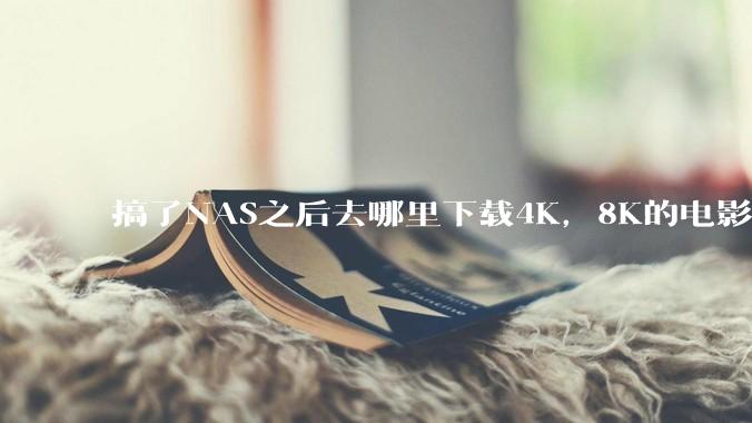 搞了NAS之后去哪里下载4K，8K的电影？