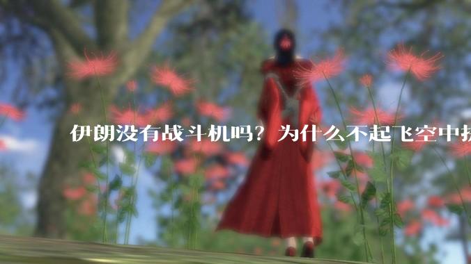 伊朗没有战斗机吗？为什么不起飞空中拼***？