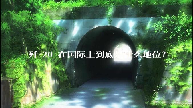 歼-20 在国际上到底是什么地位？