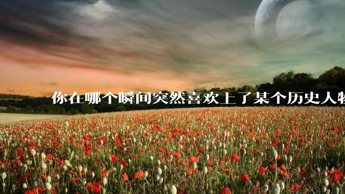 你在哪个瞬间突然喜欢上了某个历史人物？