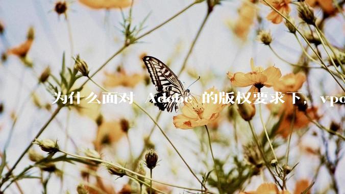 为什么面对 Adobe 的版权要求下，vposy 大神还能从容不迫？
